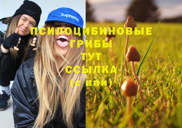 стаф Краснотурьинск