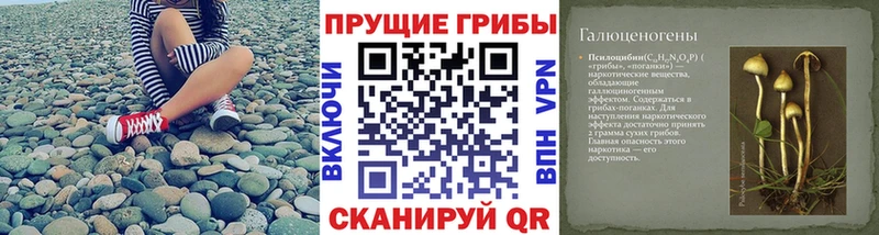 Купить  Берёзовка  Галлюциногенные грибы MAGIC MUSHROOMS 